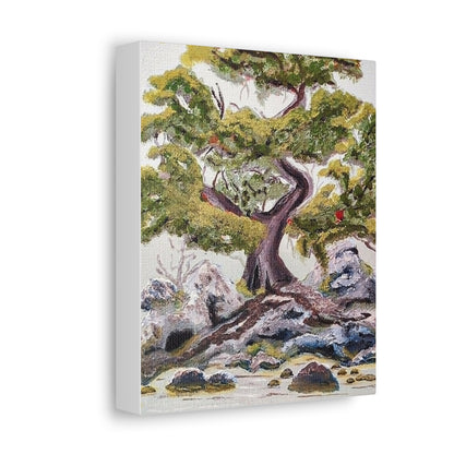 Coastal Bonsai Tree Stretched Canvas Wall Art — Serene Beach Landscape Print