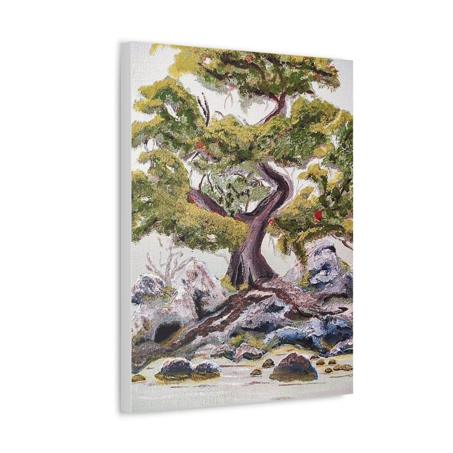 Coastal Bonsai Tree Stretched Canvas Wall Art — Serene Beach Landscape Print