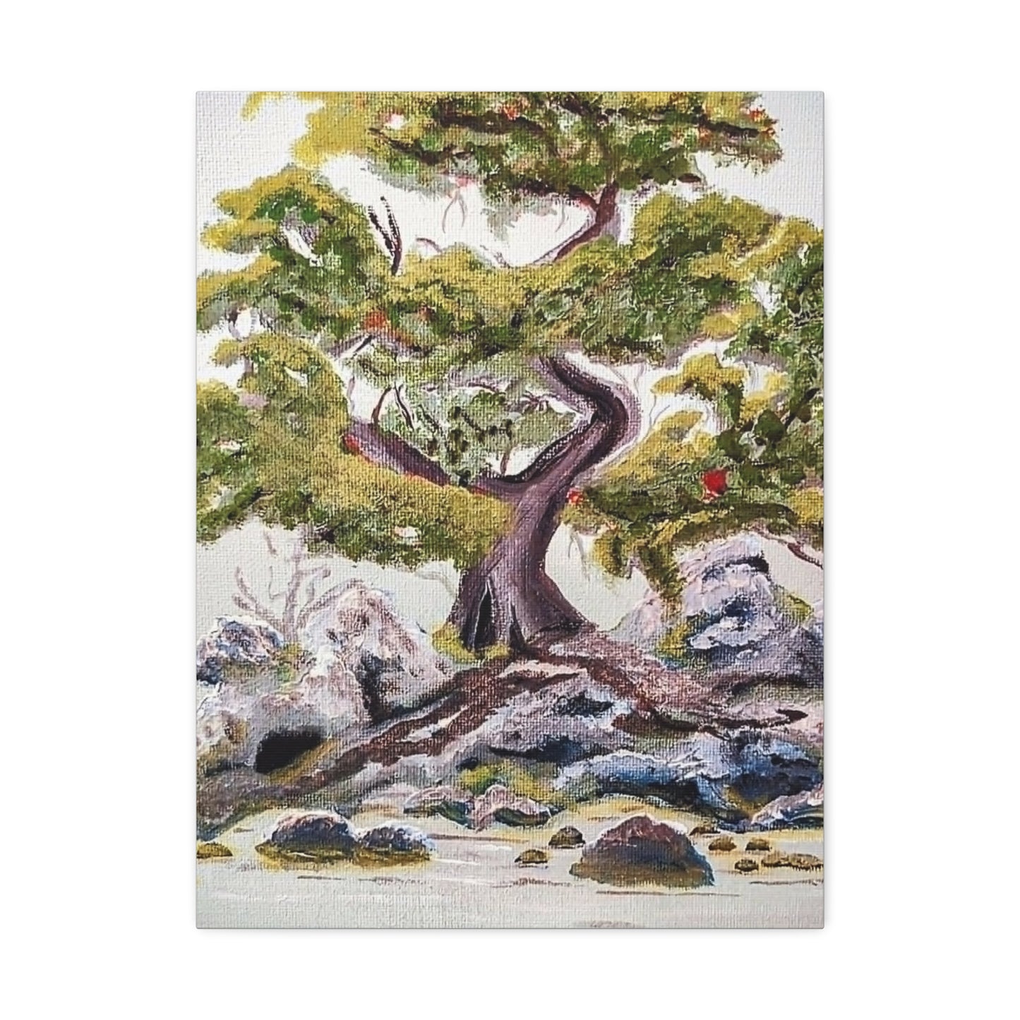 Coastal Bonsai Tree Stretched Canvas Wall Art — Serene Beach Landscape Print
