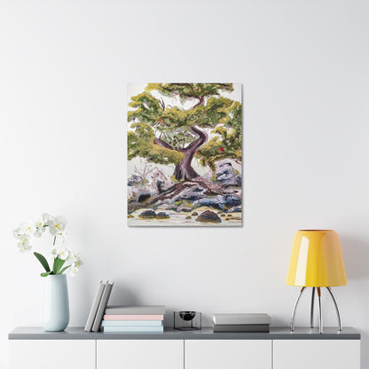 Coastal Bonsai Tree Stretched Canvas Wall Art — Serene Beach Landscape Print