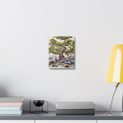 Coastal Bonsai Tree Stretched Canvas Wall Art — Serene Beach Landscape Print