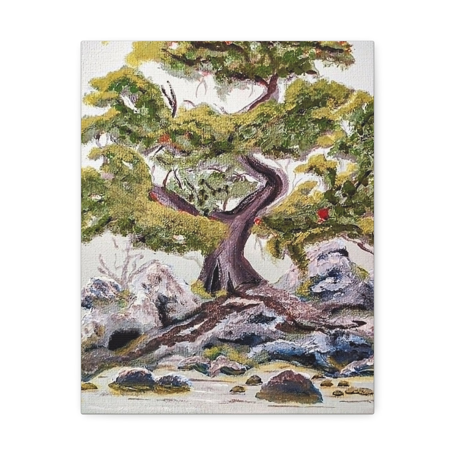 Coastal Bonsai Tree Stretched Canvas Wall Art — Serene Beach Landscape Print