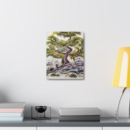 Coastal Bonsai Tree Stretched Canvas Wall Art — Serene Beach Landscape Print