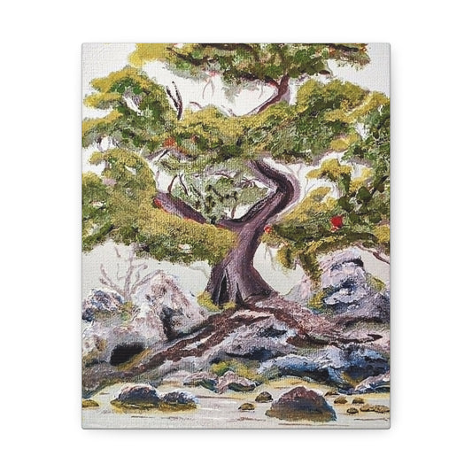 Coastal Bonsai Tree Stretched Canvas Wall Art — Serene Beach Landscape Print