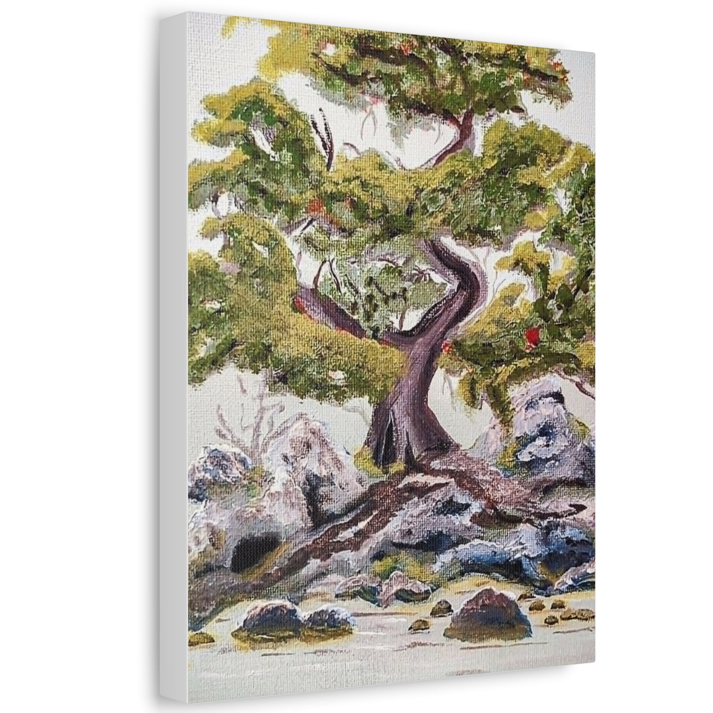 Coastal Bonsai Tree Stretched Canvas Wall Art — Serene Beach Landscape Print